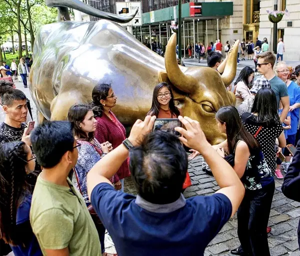 Charging Bull